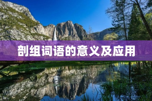 剖组词语的意义及应用