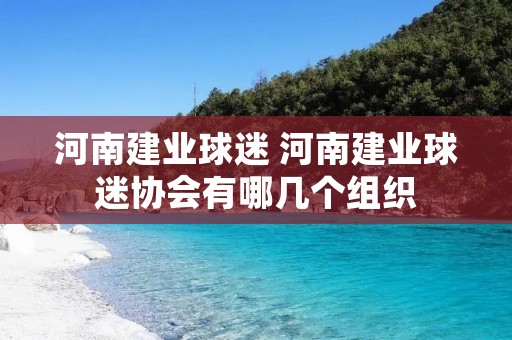 河南建业球迷 河南建业球迷协会有哪几个组织
