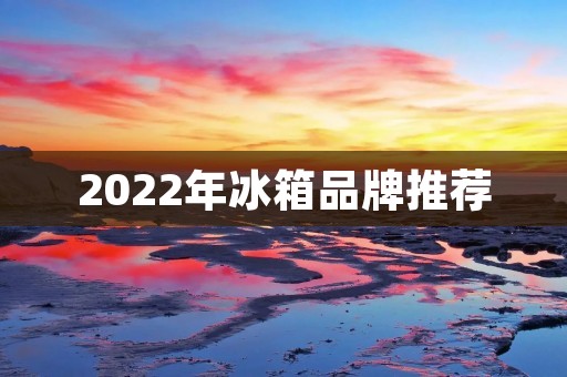 2022年冰箱品牌推荐:为您挑选高品质的冷藏解决方案 2022年冰箱品牌推荐:为您挑选高品质的冷藏解决方案