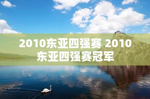 2010东亚四强赛 2010东亚四强赛冠军 2010东亚四强赛 2010东亚四强赛冠军