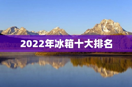 2022年冰箱十大排名:品质与科技的完美结合 2022年冰箱十大排名:品质与科技的完美结合