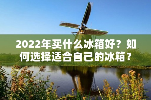 2022年买什么冰箱好？如何选择适合自己的冰箱？