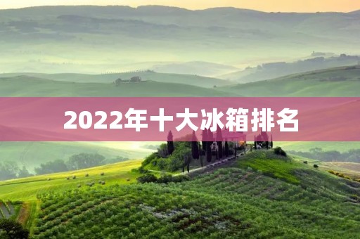 2022年十大冰箱排名:高性能、节能环保成为主流趋势 2022年十大冰箱排名:高性能、节能环保成为主流趋势