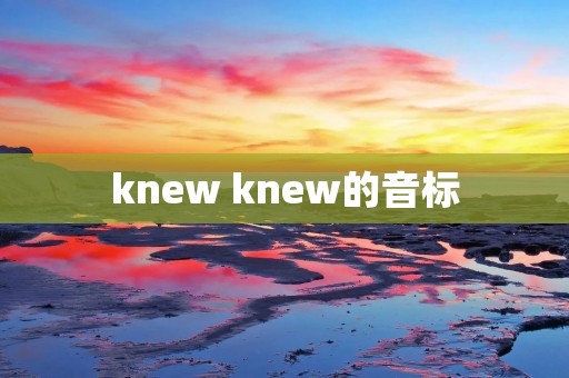 knew knew的音标