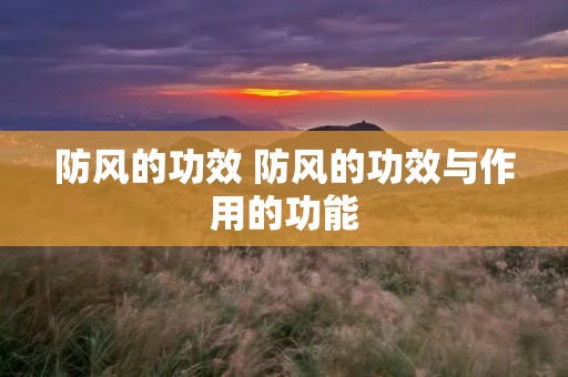 防风的功效 防风的功效与作用的功能