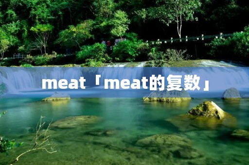 meat「meat的复数」