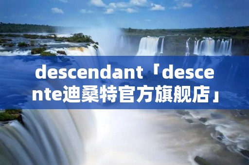 descendant「descente迪桑特官方旗舰店」