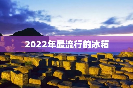 2022年最流行的冰箱:智能化改革下的冷藏新潮 2022年最流行的冰箱:智能化改革下的冷藏新潮