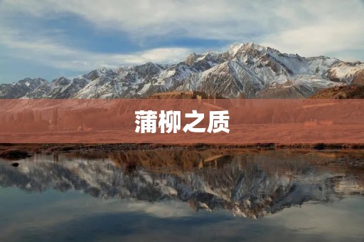 蒲柳之质:探寻其独特魅力