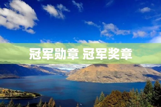 冠军勋章 冠军奖章