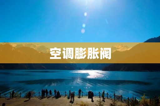 空调膨胀阀:原理、分类和应用 空调膨胀阀:原理、分类和应用
