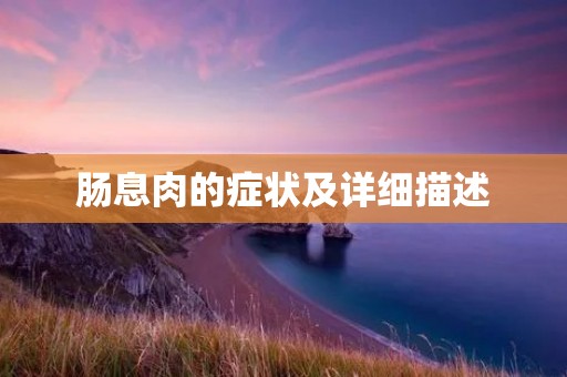 肠息肉的症状及详细描述