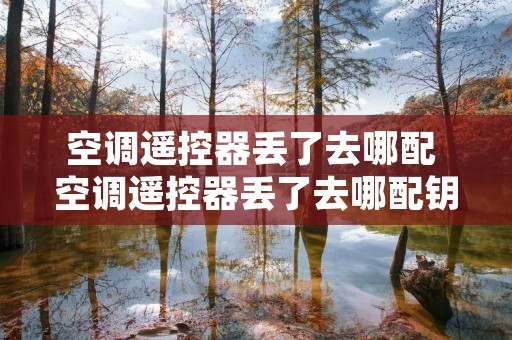 空调遥控器丢了去哪配 空调遥控器丢了去哪配钥匙 空调遥控器丢了去哪配 空调遥控器丢了去哪配钥匙