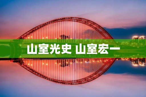 山室光史 山室宏一