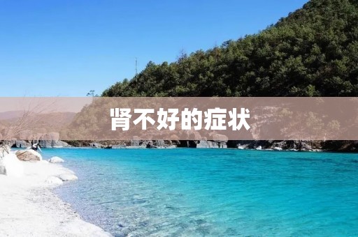 肾不好的症状:了解肾脏问题及其症状