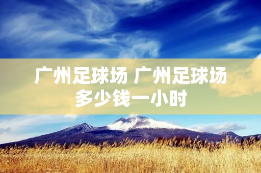 广州足球场 广州足球场多少钱一小时