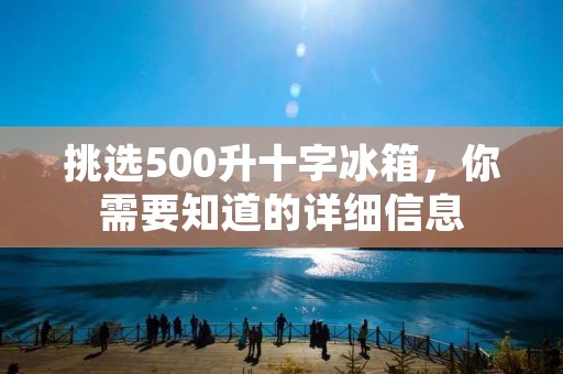 挑选500升十字冰箱,你需要知道的详细信息 挑选500升十字冰箱,你需要知道的详细信息
