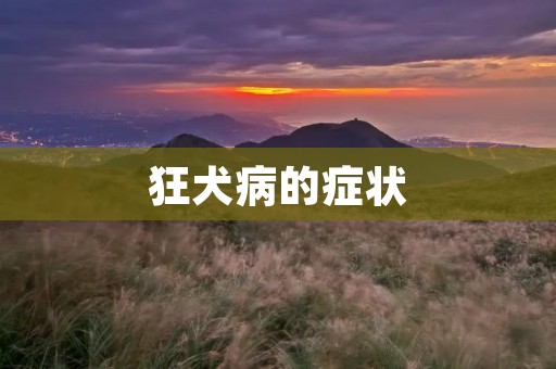 狂犬病的症状:详细描述