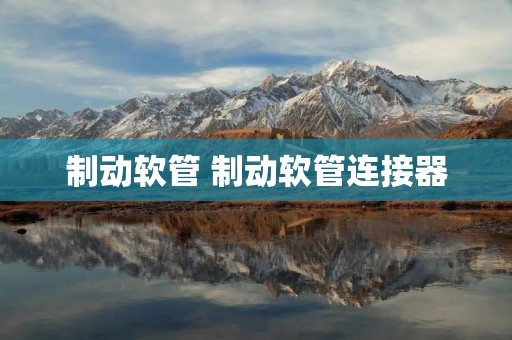 制动软管 制动软管连接器 制动软管 制动软管连接器