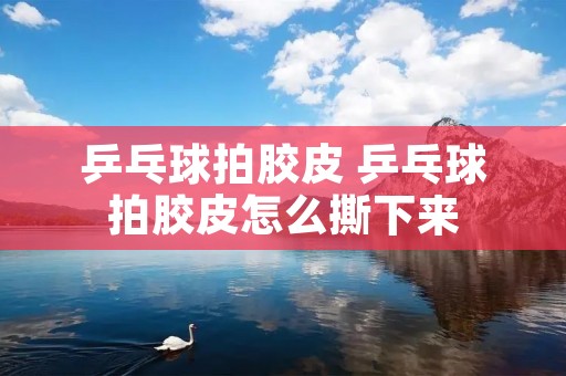 乒乓球拍胶皮 乒乓球拍胶皮怎么撕下来