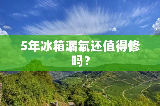 5年冰箱漏氟还值得修吗? 5年冰箱漏氟还值得修吗?