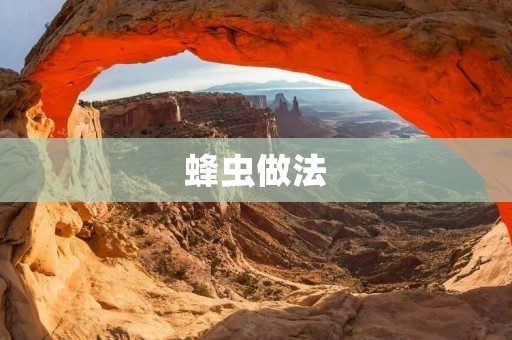蜂虫做法：打造美味可口的蜂虫佳肴
