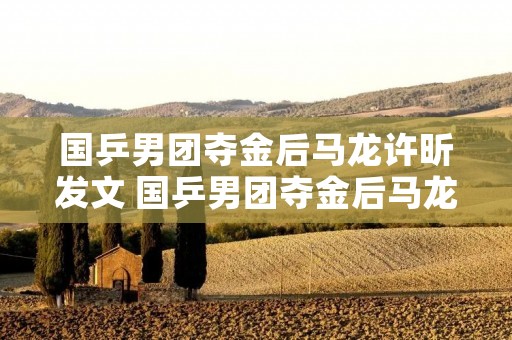 国乒男团夺金后马龙许昕发文 国乒男团夺金后马龙许昕发文视频 国乒男团夺金后马龙许昕发文 国乒男团夺金后马龙许昕发文视频