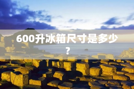 600升冰箱尺寸是多少? 600升冰箱尺寸是多少?