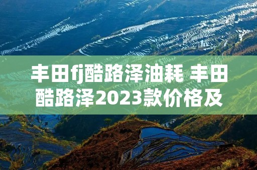 丰田fj酷路泽油耗 丰田酷路泽2023款价格及图片