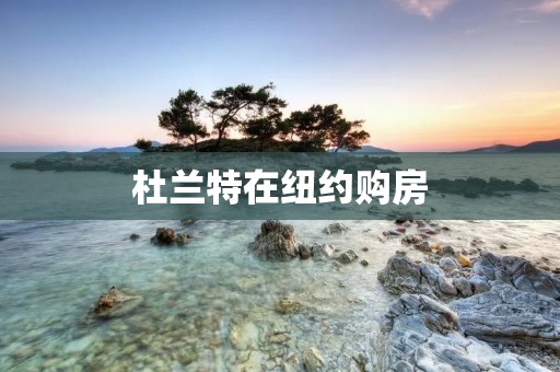 杜兰特在纽约购房：纽约市房市再添一位篮球巨星