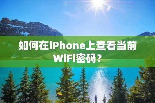 如何在iPhone上查看当前WiFi密码?