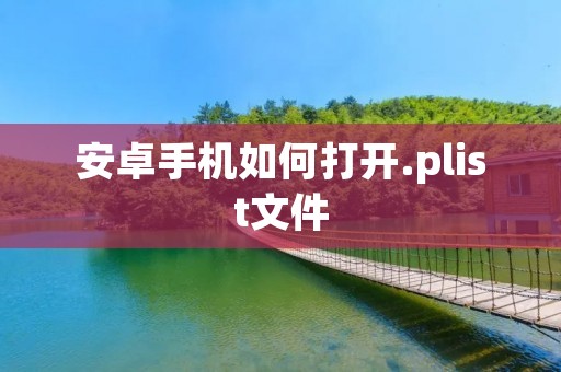 安卓手机如何打开.plist文件