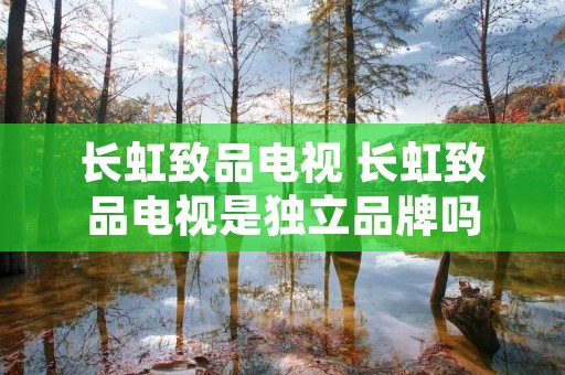 长虹致品电视 长虹致品电视是独立品牌吗
