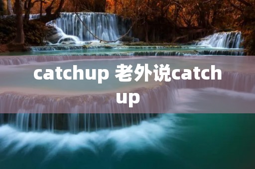 catchup 老外说catchup
