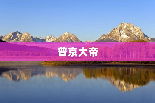 普京大帝:俄罗斯的强力领导者