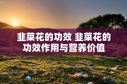 韭菜花的功效 韭菜花的功效作用与营养价值
