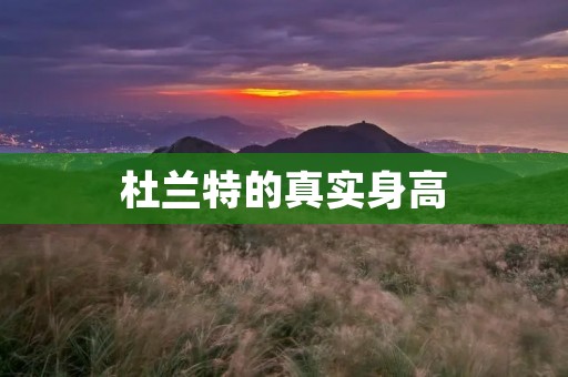 杜兰特的真实身高：揭秘篮球巨星的身高之谜