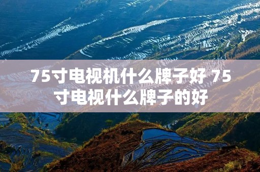 75寸电视机什么牌子好 75寸电视什么牌子的好 75寸电视机什么牌子好 75寸电视什么牌子的好