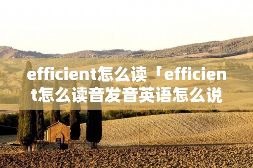 efficient怎么读「efficient怎么读音发音英语怎么说」