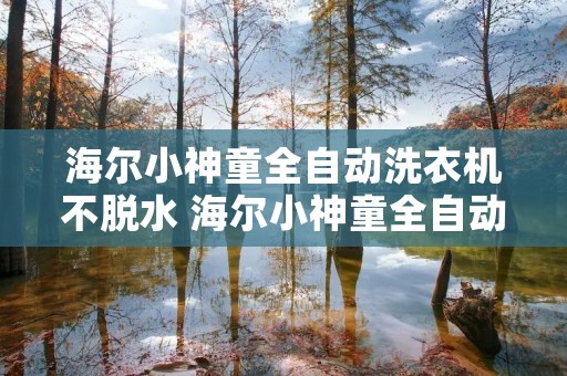 海尔小神童全自动洗衣机不脱水 海尔小神童全自动洗衣机脱水不转 海尔小神童全自动洗衣机不脱水 海尔小神童全自动洗衣机脱水不转
