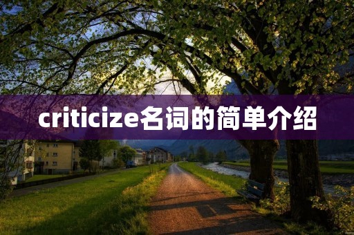 criticize名词的简单介绍