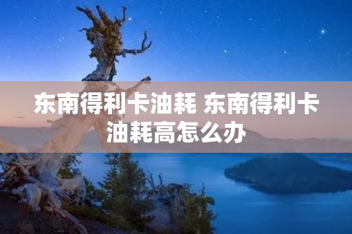 东南得利卡油耗 东南得利卡油耗高怎么办 东南得利卡油耗 东南得利卡油耗高怎么办