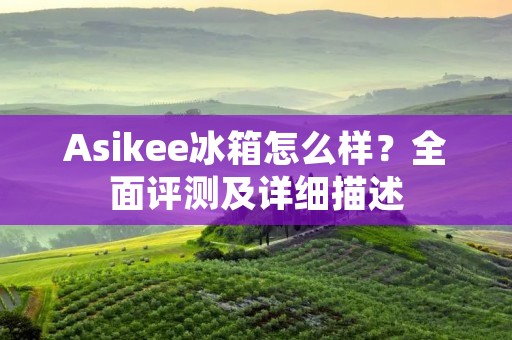 Asikee冰箱怎么样?全面评测及详细描述 Asikee冰箱怎么样?全面评测及详细描述