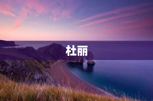 杜丽:拥有卓越才华与独特魅力的艺术家 杜丽:拥有卓越才华与独特魅力的艺术家