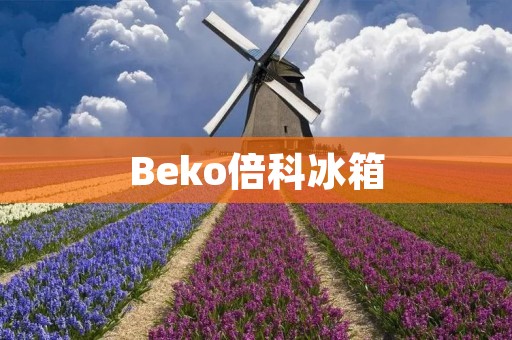 Beko倍科冰箱:高品质与创新的完美结合 Beko倍科冰箱:高品质与创新的完美结合