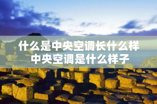 什么是中央空调长什么样 中央空调是什么样子 什么是中央空调长什么样 中央空调是什么样子
