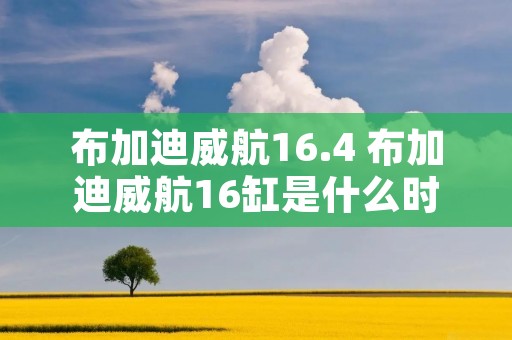 布加迪威航16.4 布加迪威航16缸是什么时候出的的 布加迪威航16.4 布加迪威航16缸是什么时候出的的