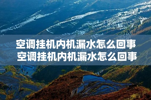 空调挂机内机漏水怎么回事 空调挂机内机漏水怎么回事视频 空调挂机内机漏水怎么回事 空调挂机内机漏水怎么回事视频