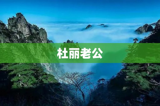 杜丽老公:一个真实的故事 杜丽老公:一个真实的故事