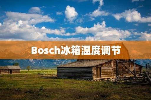 Bosch冰箱温度调节:保持食物新鲜的绝佳选择 Bosch冰箱温度调节:保持食物新鲜的绝佳选择